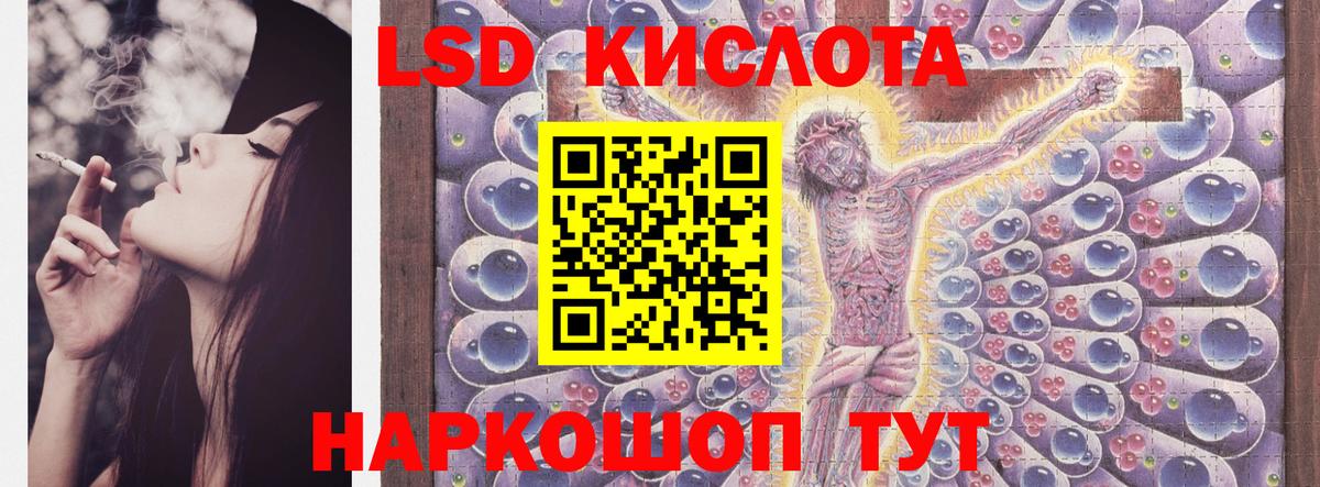 Бошки Шишки Дивногорск